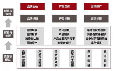 中百大厨房 调研收官蓄势待发，品牌重塑与推广齐头并进